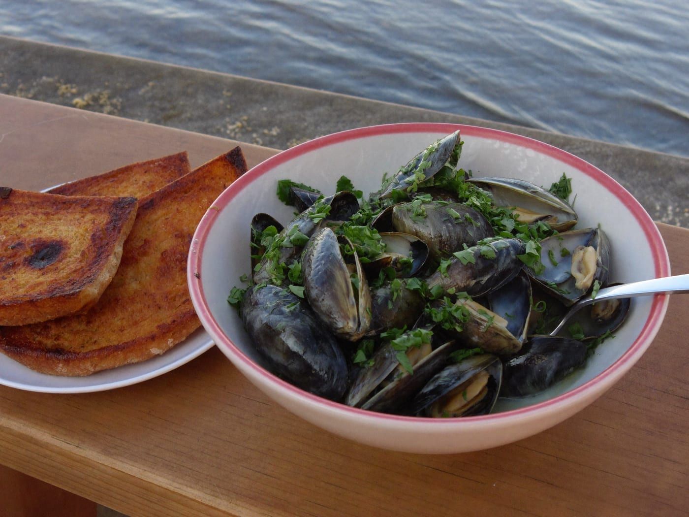 mussels